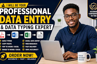 be your professional data typist and data entry expert