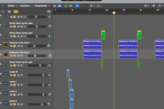 professionally mix and master your song to the next level