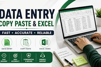 do accurate data entry, excel, copy paste and web research