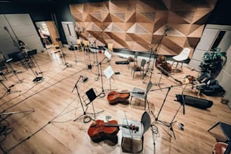 record violin, viola, cello, contrabass, erhu, rebab, sarangi and double bass