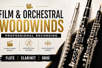 record professional flute, clarinet, oboe for film, game, and orchestral music