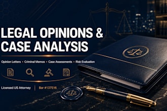 draft expert criminal case analysis reports and defense strategies