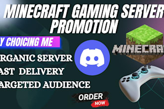 promote discord server, minecraft game, fivem server, rust, dayz promotion