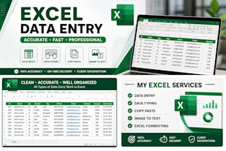 do accurate data entry and microsoft excel data entry