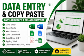 do accurate deta entry ,copy paste and web research