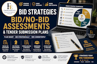 develop bid strategies, bid no bid assessments and tender submission plans, rfps