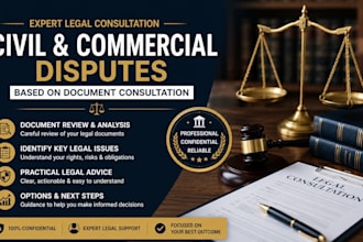 provide expert legal consultation for civil