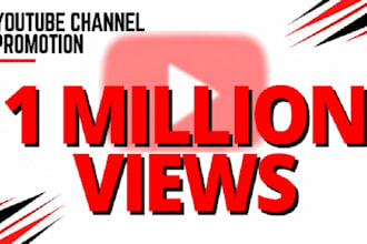 do organic youtube video seo promotion and channel growth for monetization