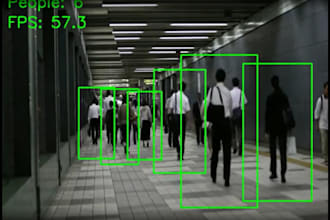 build a custom object detection model with yolo and python