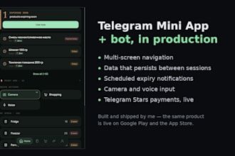 build a telegram mini app and bot with payments in python