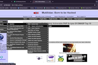 test your website for security vulnerabilities