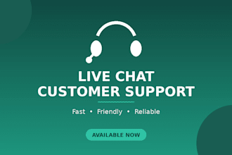 provide professional live chat customer support
