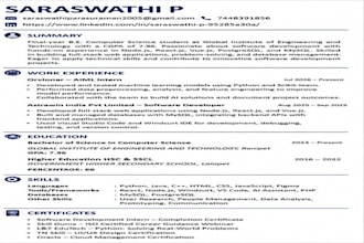create an ats friendly professional resume
