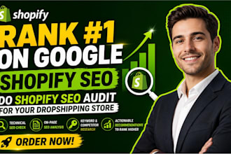 do shopify SEO audit for your dropshipping store