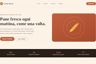 design and develop a professional website