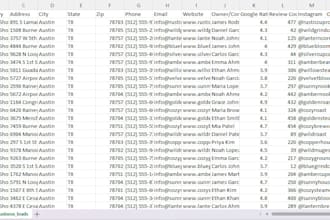 scrape google maps for targeted local business leads in excel