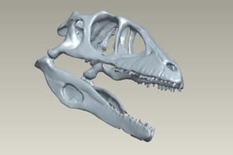 reverse engineering convert stl to step scan to cad create solidworks 3d models