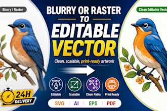 vectorize your blurry or raster illustration into an editable vector