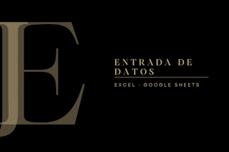 organizo e ingreso tus datos en excel o google sheets