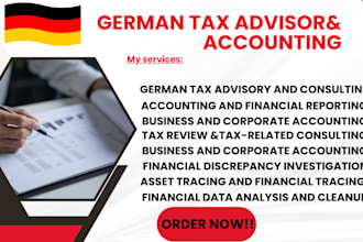 forensic accounting analysis fraud investigate forensic asset trace in germany