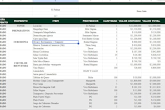 do excel organization and automatization