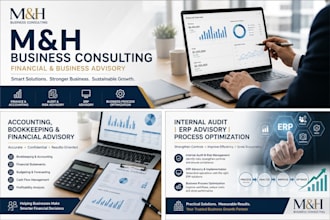provide financial advisory, accounting consulting and book keeping services