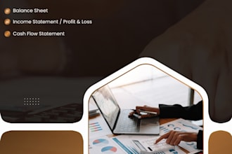prepare financial statements , income statement, cash flow