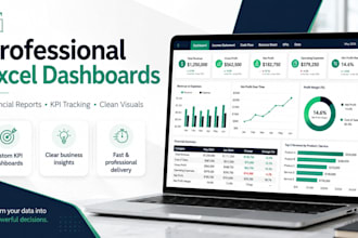 create a professional excel dashboard and financial report