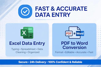do fast and accurate data entry in excel and PDF to word