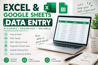 do excel and google sheets data entry