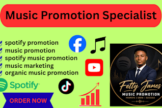 do spotify music promotion and organic music marketing