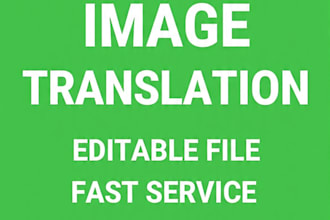 translate english to urdu document with fast 24h delivery