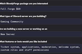 build and set up a professional discord server