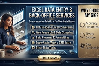 do professional excel data entery , data cleaning and web research