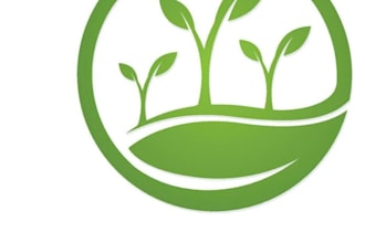 be your professional tree logo designer