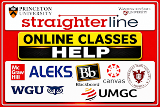 help you complete your online course, task within shortest time