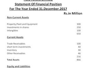 provide ca level accounting book keeping and financial services