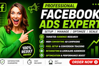 setup manage and optimize facebook meta ads campaigns
