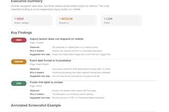 manually test your website and report issues