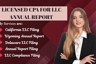 file california, wyoming, delaware, colorado llc annual report for your business