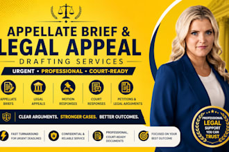 draft appellate brief litigation support court motion response, petitions appeal