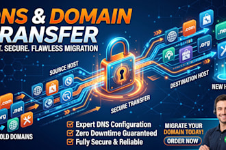 do dns rescue and domain setup