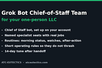 set up a grok bot chief of staff team for your one person llc