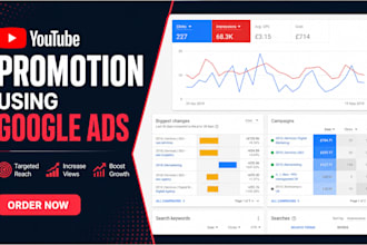 setup youtube ad campaigns for organic music video promotion