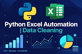 do python data processing excel automation and data cleaning