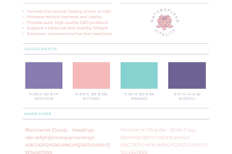 create small business branding packages in canva