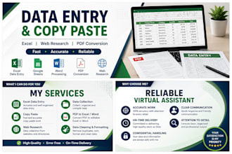 do accurate data entry, excel, copy paste and web research
