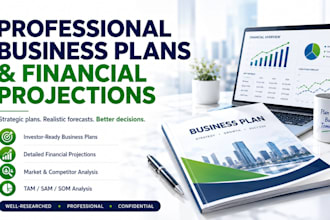 create a professional business plan and financial projections