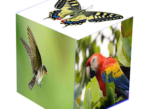 3d creat for adob photoshop