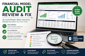 audit, review and fix your existing financial model in excel
